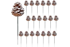 YY-JUNYING 20 Stück 5,1 cm Weihnachts-Tannenzapfen mit Schneespitze natürliche Tannenzapfen mit 12,7 cm grünem Draht-Plektrum