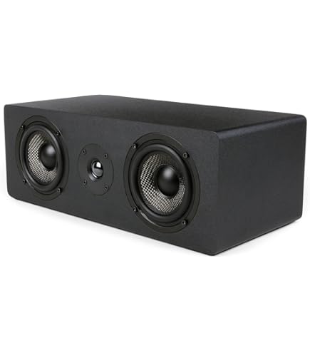 SpeakerCraft OE5 One Outdoor Speaker - Each (Black) : Amazon.in