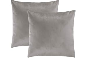 HBselect Fundas de Cojines 45x45cm, Funda de Almohada con Cremallera de Terciopelo, Funda de Cojines Decorativos Hogar para Sofá Camas Sillas Dormitorio Sala Coche Modernos