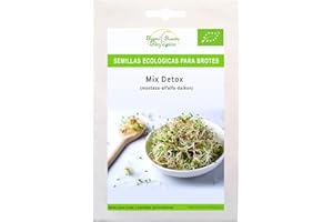Semillas Bio para germinar brotes y micro green Bueno Bonito Biológico - 70g MIX DÈTOX - Semillas para brotes y germinados Bio. Cultiva germinados frescos para comer