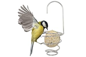 Zeqeey Mangiatoia per uccelli in acciaio inox, Palline di Grasso Alimentatore Appese per Uccelli per Giardino uccelli selvatici, 2 pezzi in Metallo