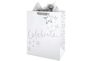 Hallmark Juego de bolsa de regalo grande para múltiples ocasiones y papel de seda, diseño de texto holográfico con papel plateado