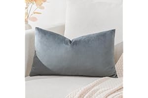 Artscope Fundas de Cojines de Terciopelo Decorativas Cuadradas Color Solido 30x50cm para Decoración del Hogar Sofá Dormitorio Coche Gris Grafito