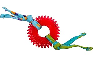 CATSTAGES Petstages Anneau pour chat Kitty Chew Wheel - herbe à chat/hygiène dentaire