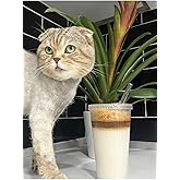 btmhome 1 Adet 600 Ml Mika Kapaklı Cam Pipetli Bardak Origami Stil Soğuk Kahve Meşrubat Bardağı saydam