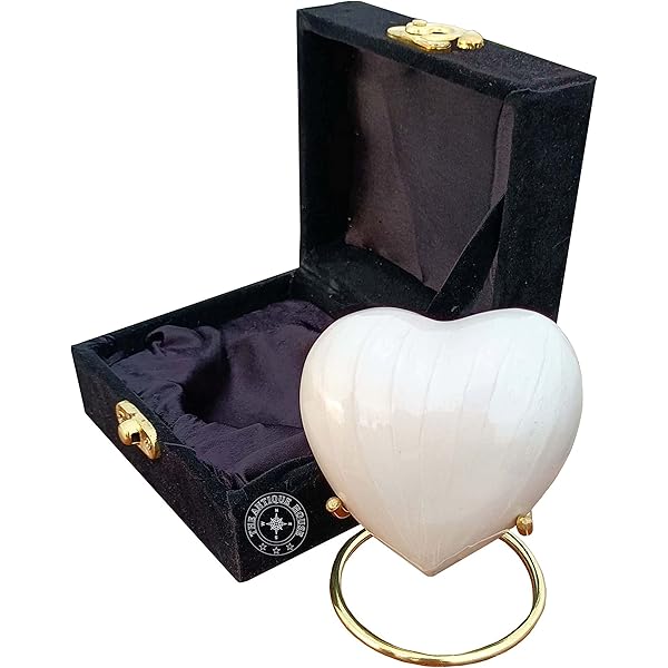 MFRZBVO Kolibrie Crematie Sieraden Hart Urn Ketting voor