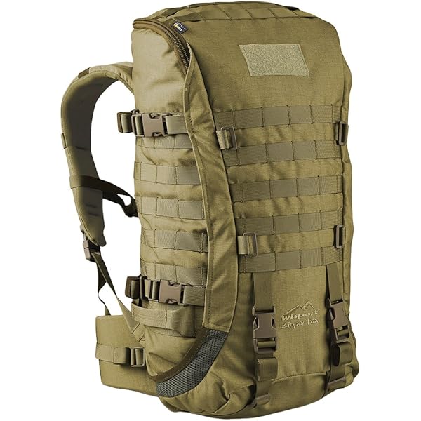 Wisport ZipperFox 40L Rucksack RAL 7013 : Amazon.de: Sport & Freizeit