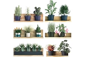 CAINCAY 6 Stickers Muraux en 3D pour Salon, Feuilles Vertes en PVC Feuilles Vertes Feuilles Vertes Fleurs Et Plantes en Pot Autocollants Muraux pour Cuisine, Bureau, Décoration Murale