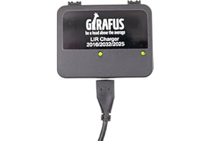 Girafus Chargeur Piles Bouton Rechargeables/Piles Plates CR2032 CR2025 CR2016 Rechargeable -> LIR 2032/2016 / 2025 –Lithium ION/Universel: Convient pour Toute Prise USB/