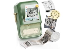 NIIMBOT B21 Pro Imprimante D'autocollants Portable, Étiqueteuse Bluetooth sans Encre pour Photos, Notes d'étude, mémo