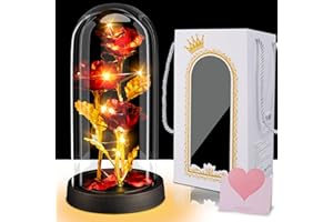 PINLANUO Rose Geschenke Valentinstag für Frauen, Geschenke für Frauen, Ewige Rose im Glas, Valentinstagsgeschenk für Sie, Geburtstagsgeschenk für Mama Freundin Oma, Schöne und das Biest Rose mit LED Licht, Rot