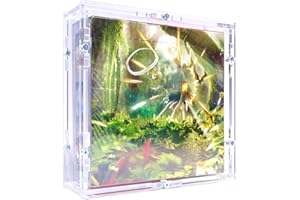 TCG Cases Scatola di protezione fai da te compatibile con Pokemon giapponese Display Booster Box plexi Custodia in acrilico