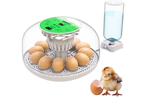 OKKÖBI Okkobi M12 - Incubadora Huevos Gallina Automática - Volteo Automático y Control de Humedad - Chocadeira Ovos Automática - 12/24 huevos, Vista 360°, fácil de usar y limpiar - Blanco y verde