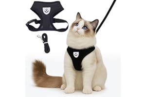 wilcractk Arnes para Gatos Antiescape con Correa 120cm, Reflectante y Ajustable al Aire Libre del Gato Arnés con, Negro Tamaño S (Cuello 22 cm no Ajustables, Pecho 34-42 cm Ajustable)