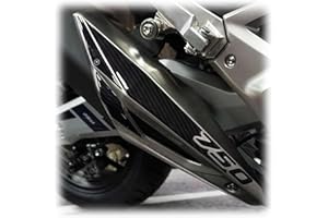 labelbike - Pegatina 3D Proteccion Silenciador compatible con Honda Forza 750 2021