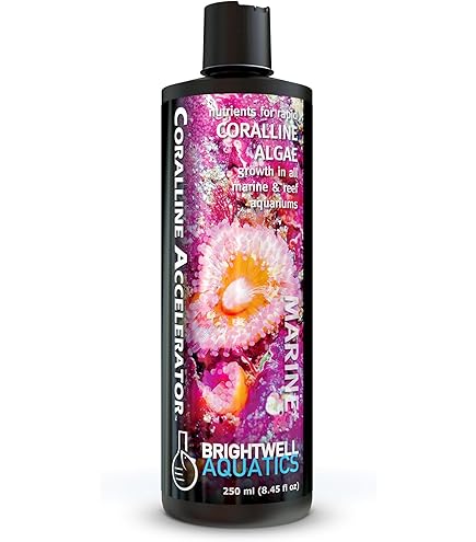 Brightwell Aquatics Reef Code A-P Calcium Supplement - 1kg For Coral Growth & Alkalinity