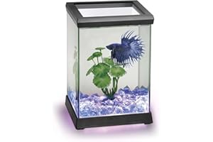 Ocean Free AT619A Kit Betta Space Led, Nero