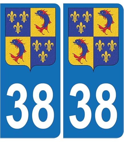 HADEXIA Autocollant Plaque D'iatriculation Voiture C