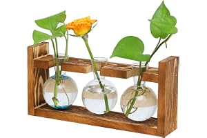 Växtterrarium med trähållare, glasförökningsstation för hem, kontor, hylla, fönsterbräda, bordsdekoration, för kvinnor och mä