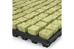 Plateau de 150 bouchons de laine de roche GRODAN