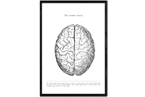 Nacnic Poster di anatomia in bianco e nero con immagini del corpo umano. Lame sulla biologia e medicina con dettagli cervello. Dimensione A3. Con Marco.