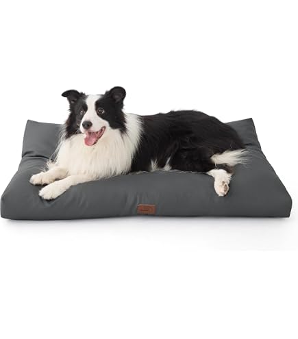 halsband für australian shepherd Buntes verstellbares Hundehalsband