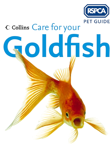 goldfish care uk
