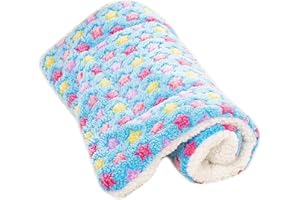 Lanivic Soft Star Pattern Dog Cat Blanket Fleece Pet Pad Puppy Cushion Mat (XL, Blue)