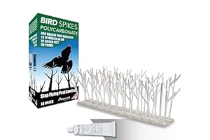 ASPECTEK Sistema Anti Pájaros - 10 Hileras de Púas Antipalomas con Base de Policarbonato para Control de Aves y Palomas (con Transparent Silicone Glue)