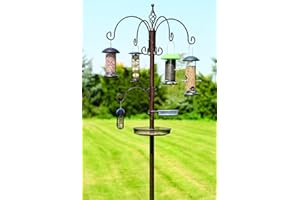 Tom Chambers Grand Bird Station