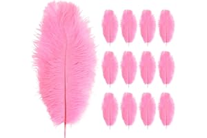Anseom 12 Pièces Plumes d’Autruche 20-25 cm Naturelles pour Mariage et Décoration de Noël (Rose)