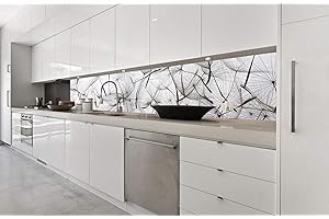 DIMEX LINE Paraschizzi Auto-Adesiva per la Cucina Semi di TARASSACO 350 x 60 cm | Resistente all’Acqua | QUALITA‘ Premium