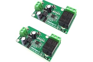 EACHEN Módulo Relé Wifi funziona con Alexa/Google Home/Sonoff/Ewelink/IFTTT, Interruttore WiFi per fai-da-te qualsiasi dispositivo per la casa intelligente - porta del garage, luce, ventilatore