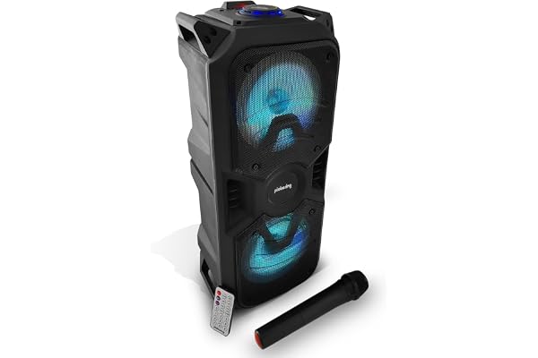 Enceinte Autonome High Power LED RVB 400W USB/BT/SD/FM + Micro sans Fil - Pickering CX6