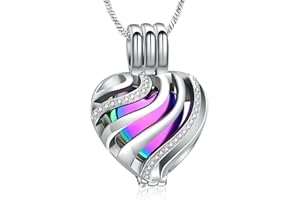 AIWENXI Heart Urn Ash Necklace for Women Men Memorial Ashes Keepsake Loved Human Cremation Jewellery for People Pet Ashes