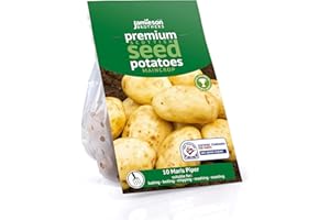 Seed Potatoes Maris Piper 10 Tuber Pack – JBA Maincrop Grow Your Own Spuds – for Chips, Mashing & Roasting – Scottish-Grown & Ready to Plant at Home in Pots, Gardens & Allotments by Jamieson Brothers