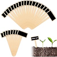 40 Pcs Pflanzschilder Holz Pflanzen Tags Kräuterschilder Umweltfreundliche Gartenschilder Beschriften Pflanzschilder…