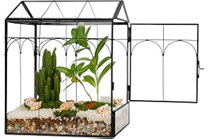 REDHUGO Glass Plant Terrarium Handmade, Tabletop Greenhouse Plant Container Mini Greenhouse Indoor, Display Box Mordern Decor DIY Gift for Succulent Cacti Air Plants Flowers, Large Church Shape,Black