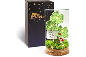 Giftota Lucky Charm Positive Gifts, Knitted Four Leaf Clover in Glass with LED Fairy Lights, Courage Gift, Get Well Soon Gifts, You Create the Gift