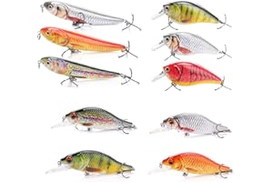 TSURI Petits LEURRES DE PÊCHE – Truite, Perche, BROCHET, CARNASSIER – STICKBAIT, CRANKBAIT, JERKBAIT – Flottant & Surface – Environ 6CM 5GR (KIT DE 10 LEURRES)