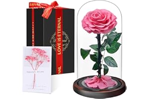 TOULOUBE Christmas Rose Set for Women | Eternal Forever Rose in Glass Dome | Flower Preserved for 5 Years | Handcrafted | Beauty and the Beast Romantic Gifts for Her | Anniversary, Valentine’s day,Pink