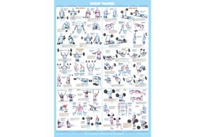 CHARTEX Weight Training Exercise Poster | Bodybuilding Exercise Chart | Whole Body Workout | Major Muscle Groups | Dumbbells | Barbells | Weight Lifting | Athletics | Strength Training | A1 Laminated Format