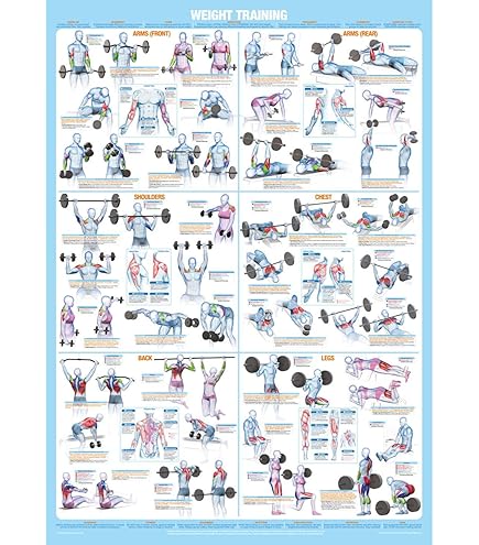 Zumba Exhilarate Body Shaping Kit : Amazon.co.uk: Sports & Outdoors