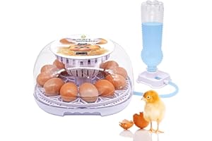 MOGOULUA 12-35 huevos incubadora capacidades incubadora digital totalmente automática rotación automática incubadora suministro de agua automático cubierta visible