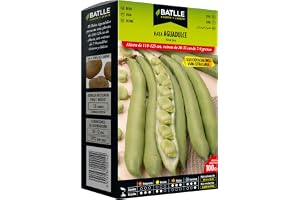 Aguadulce Bean Sel. ACUALONGA