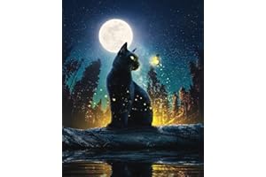 EOBROMD Diamond Painting Kits Noir Chat Complet, 5D Diamond Painting Lune Broderie Diamant Peinture par numéro, Full Peinture Diamant 5D Complet Diamond Painting Animaux pour la Décor 30x40cm
