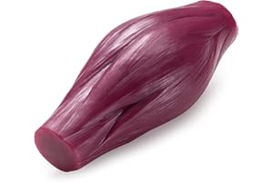 MEDARCHITECT Human Body Muscle Replica Model - 1 lb to Keep Fit & Fitness Encouragement for Fitness Enthusiast, Nutritionist, Athlete