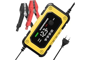 INTHOOR Caricabatterie Auto e Moto 12V 6A, Automatico Caricabatterie e Mantenitore Intelligente Carica Batteria Portatile con Schermo LCD per Auto Moto Camion e AGM Gel Batterie