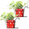 Leafy Tales Hanging Flower Pot Holder Railing Potted Plant Stand for Home Balcony Décor, Black, Set of 2 (Metal Basket-2)