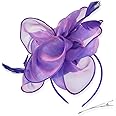 DRESHOW Fascinators Hat for Women Cocktail Tea Party Headwear Flower Mesh Ribbon Feathers Headband